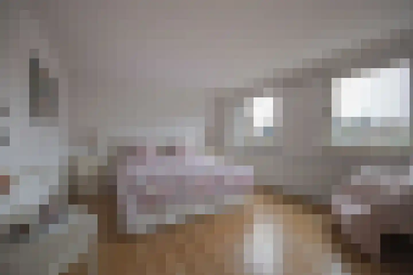 Wilhelminastraat 13 Bosschenhoofd thumbnail 28