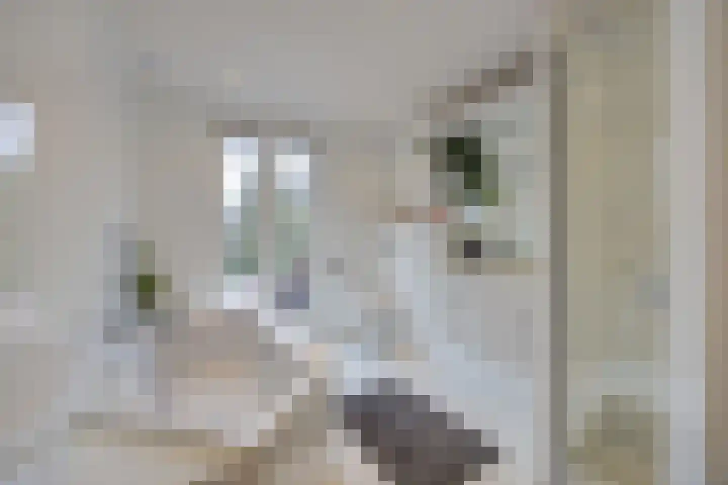 Wilhelminastraat 13 Bosschenhoofd thumbnail 30