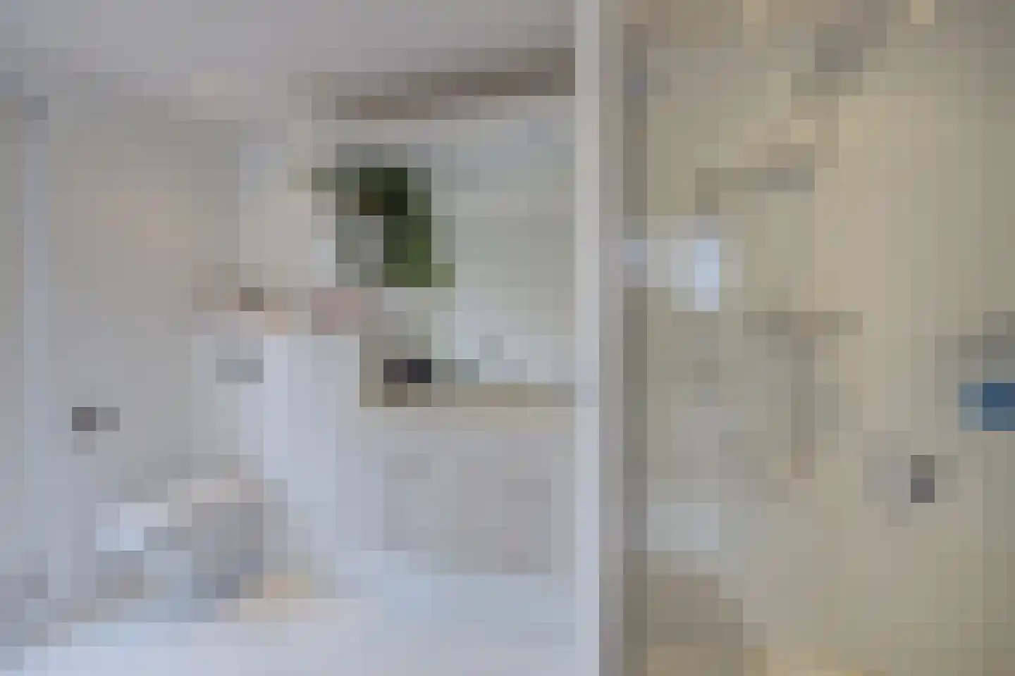 Wilhelminastraat 13 Bosschenhoofd thumbnail 31