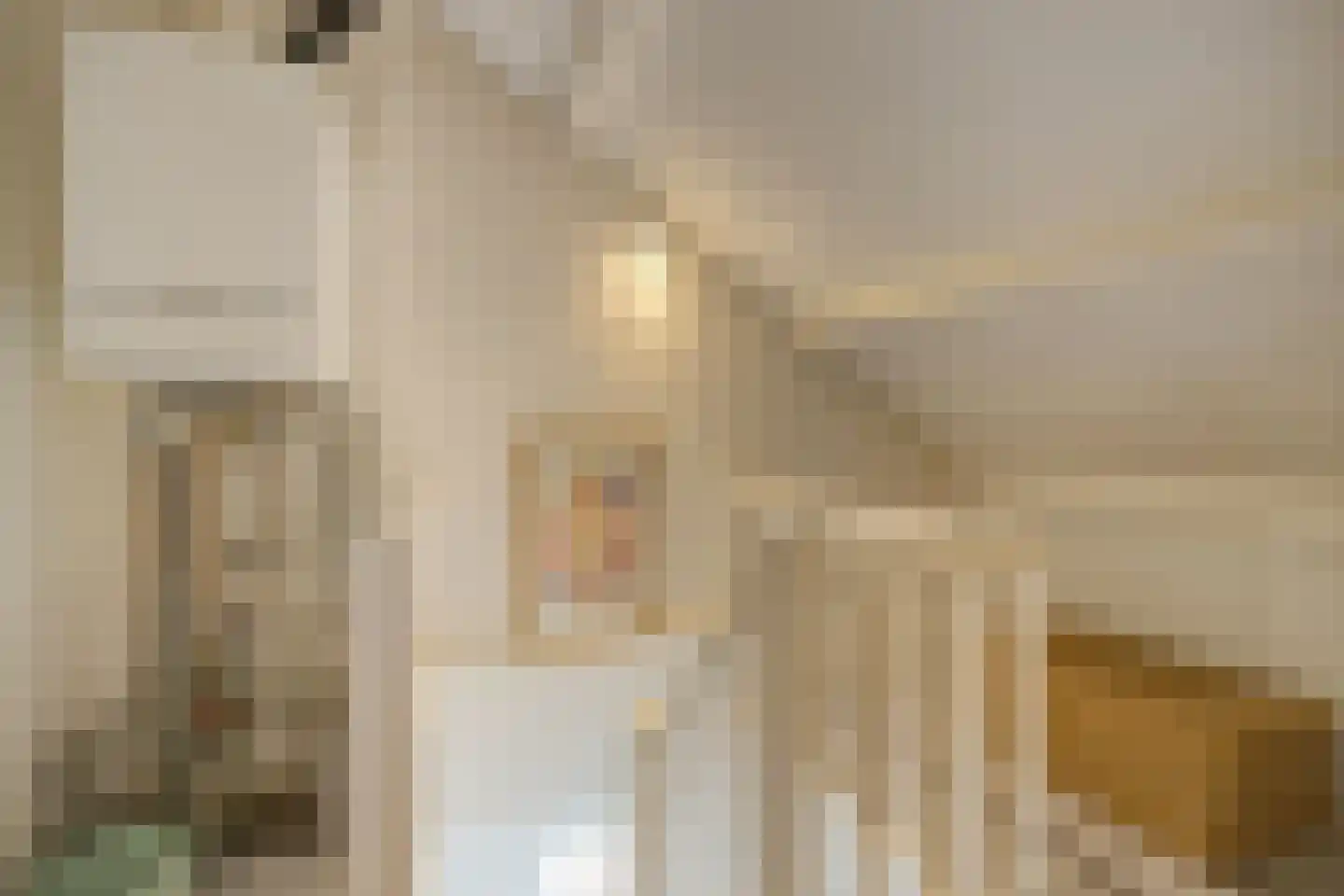 Wilhelminastraat 13 Bosschenhoofd thumbnail 36