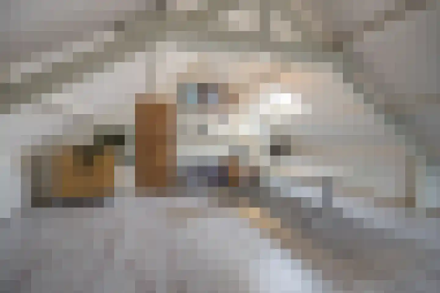 Wilhelminastraat 13 Bosschenhoofd thumbnail 37