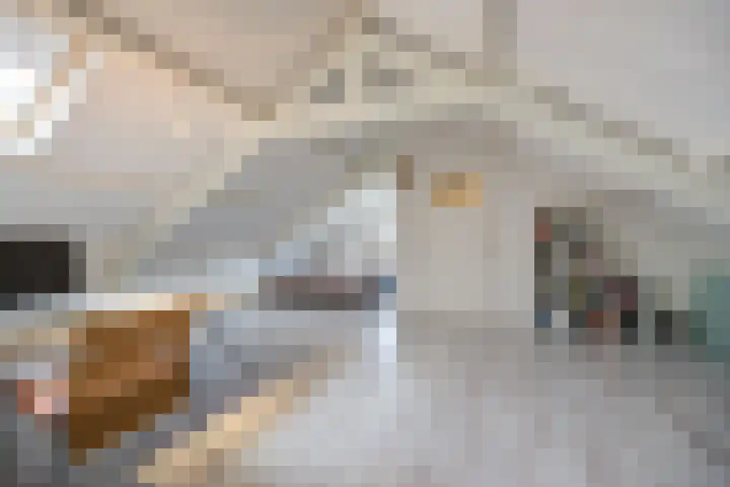 Wilhelminastraat 13 Bosschenhoofd thumbnail 38