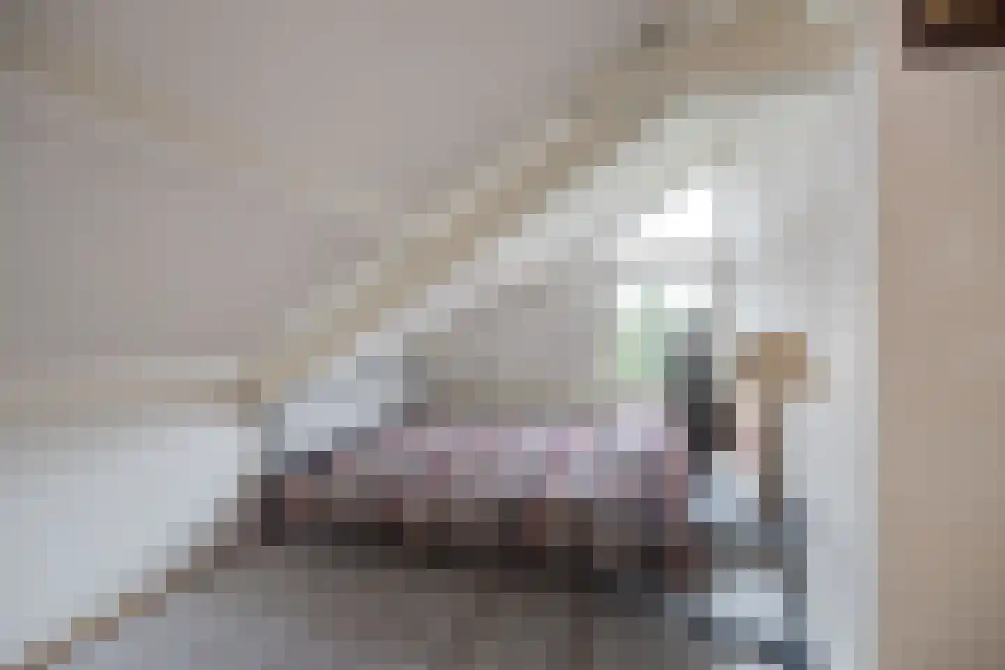 Wilhelminastraat 13 Bosschenhoofd thumbnail 39