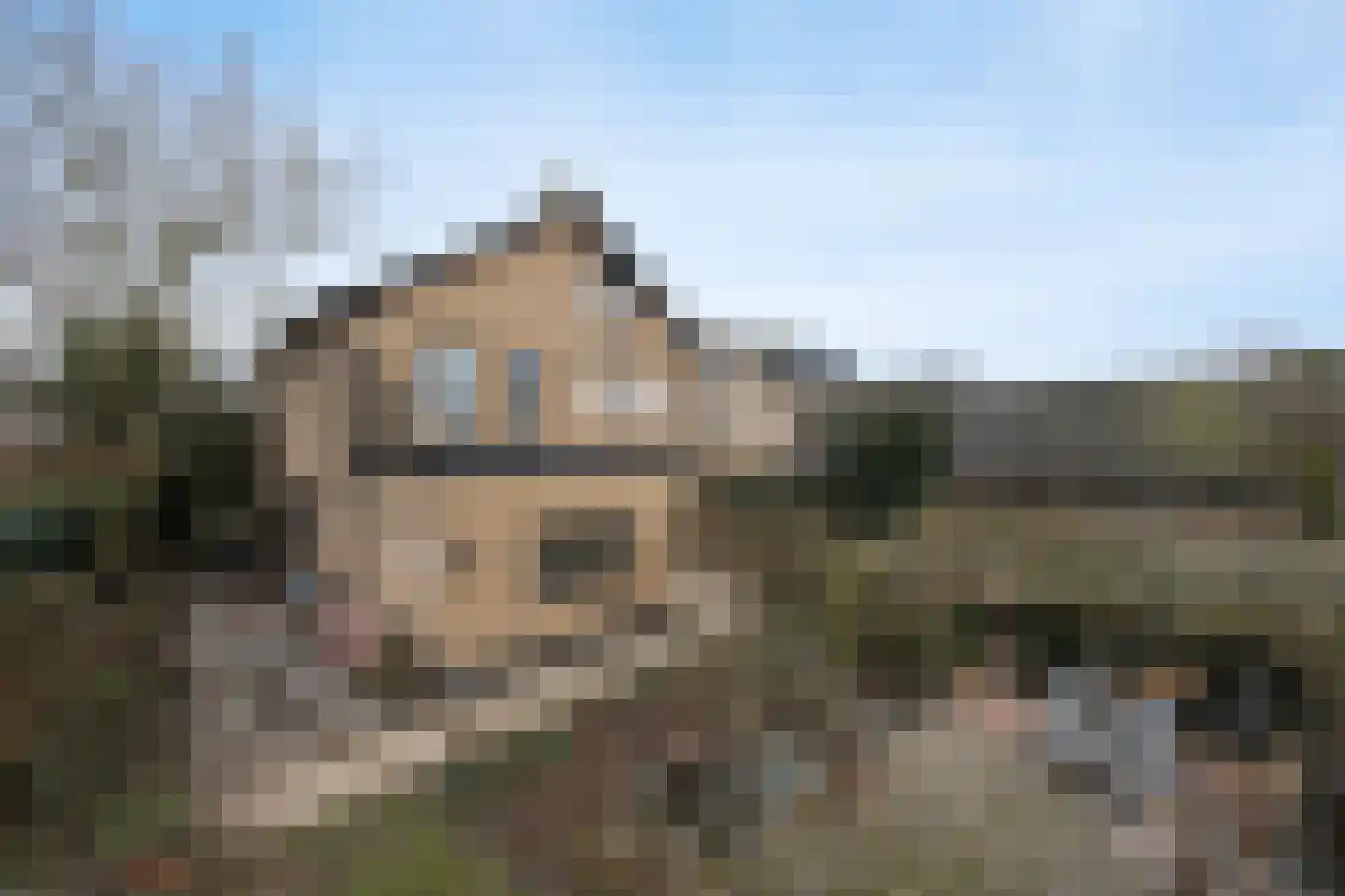 Wilhelminastraat 13 Bosschenhoofd thumbnail 4