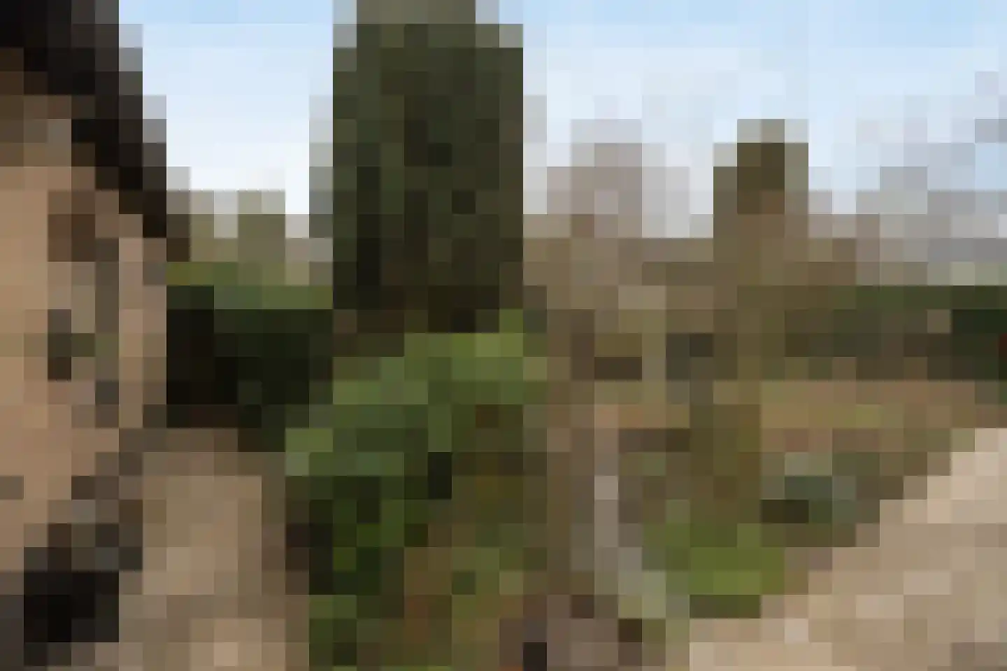 Wilhelminastraat 13 Bosschenhoofd thumbnail 41