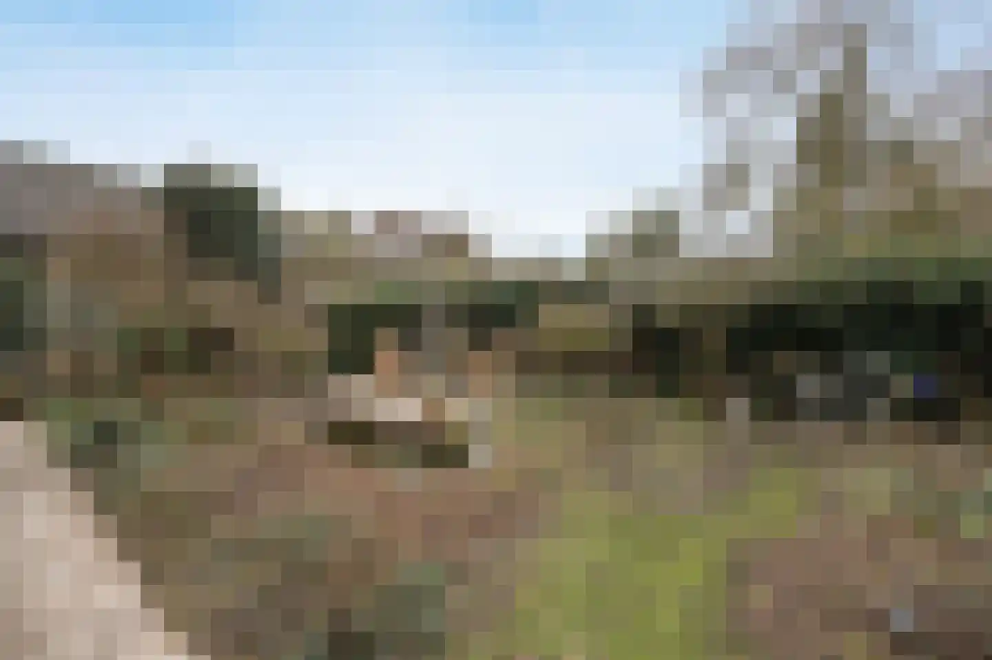 Wilhelminastraat 13 Bosschenhoofd thumbnail 42