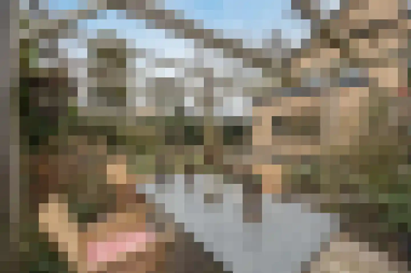 Wilhelminastraat 13 Bosschenhoofd thumbnail 43