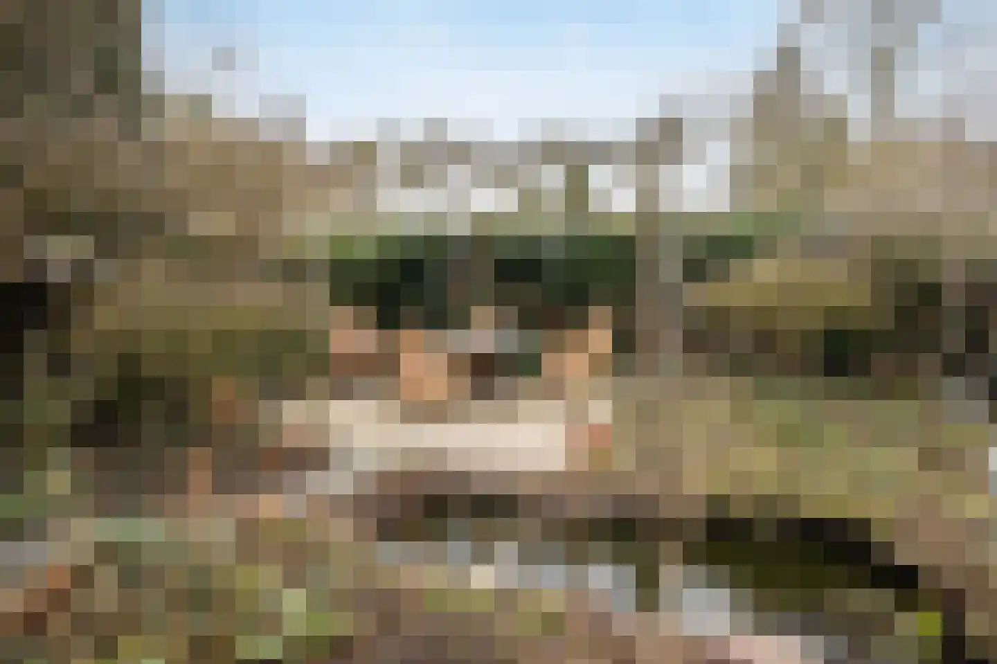 Wilhelminastraat 13 Bosschenhoofd thumbnail 44