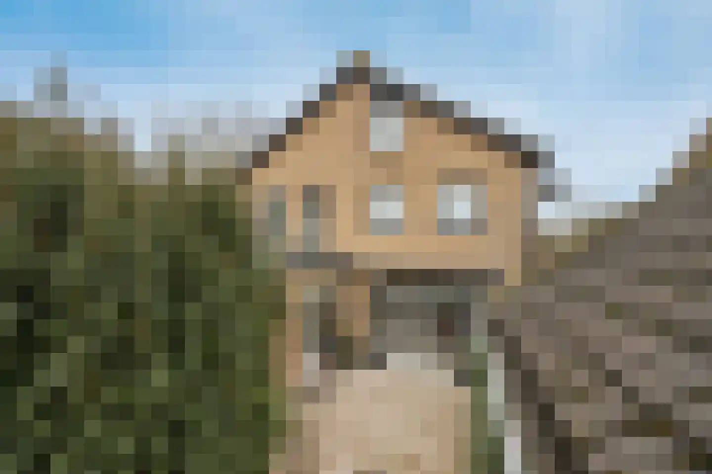 Wilhelminastraat 13 Bosschenhoofd thumbnail 46