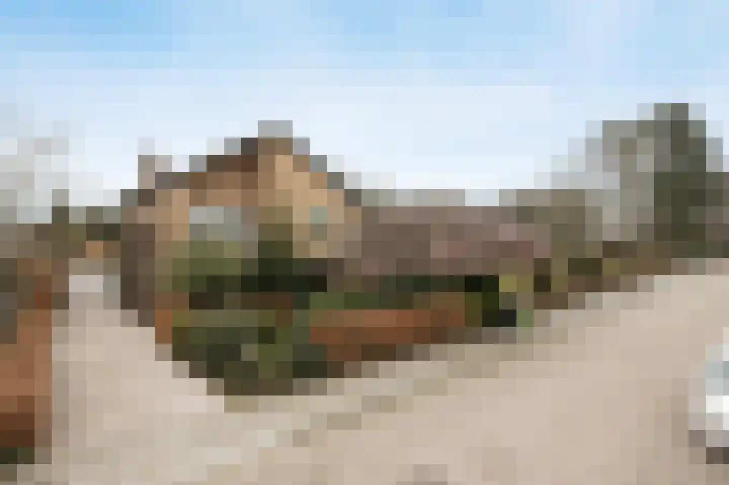 Wilhelminastraat 13 Bosschenhoofd thumbnail 50