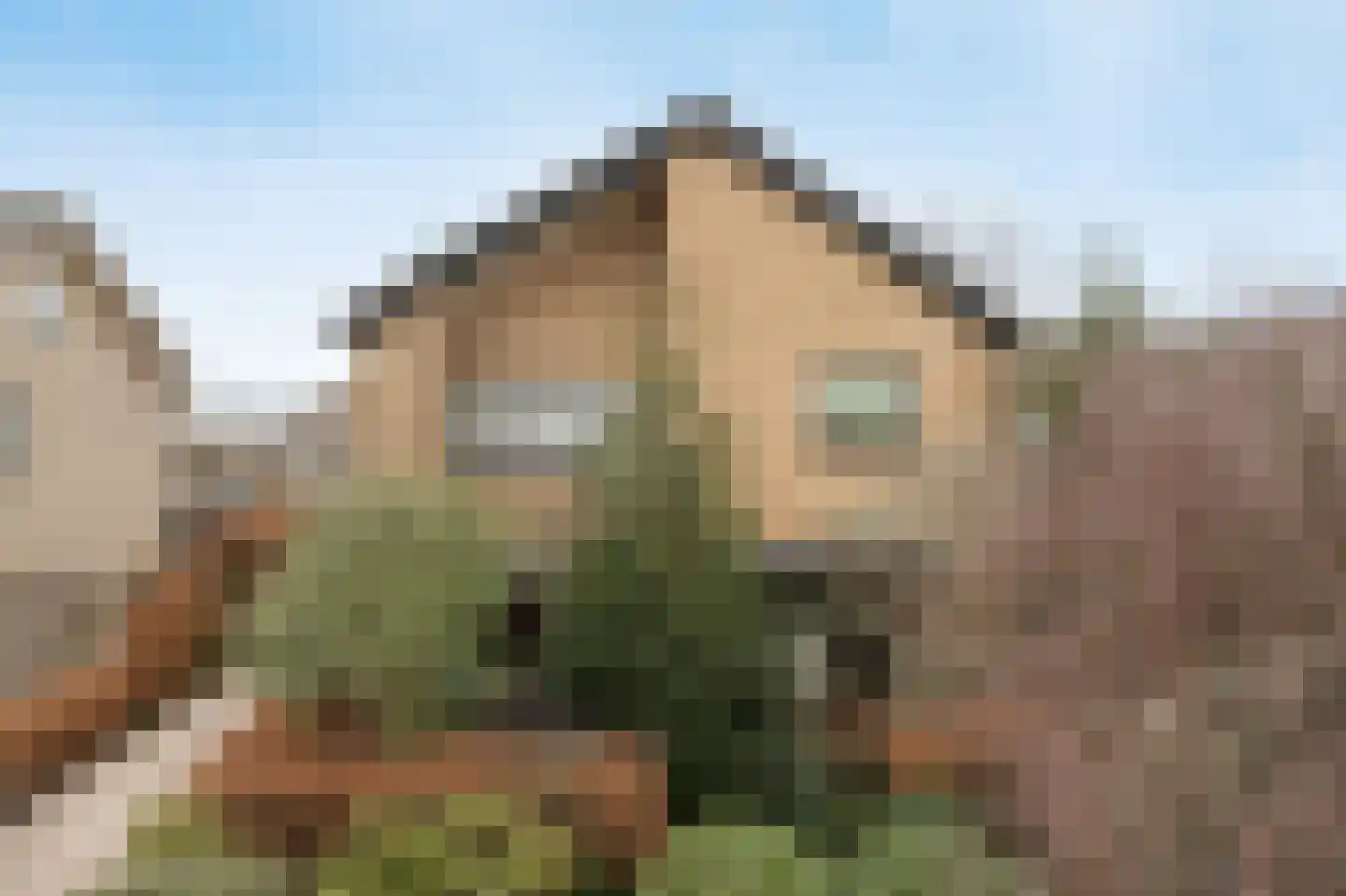 Wilhelminastraat 13 Bosschenhoofd thumbnail 51