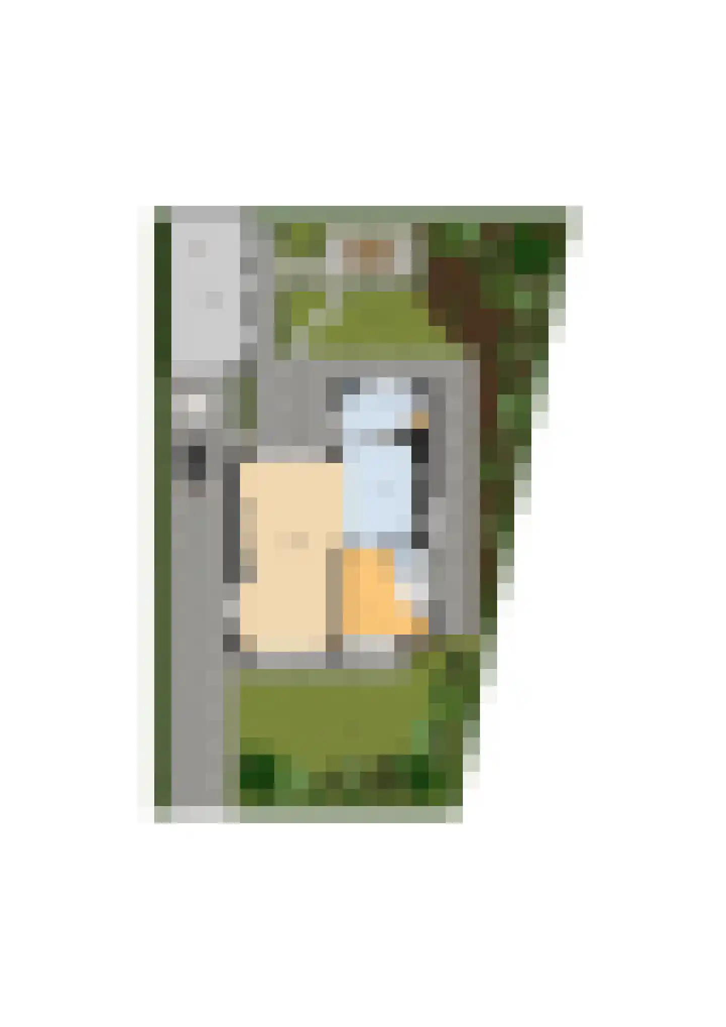 Wilhelminastraat 13 Bosschenhoofd thumbnail 57