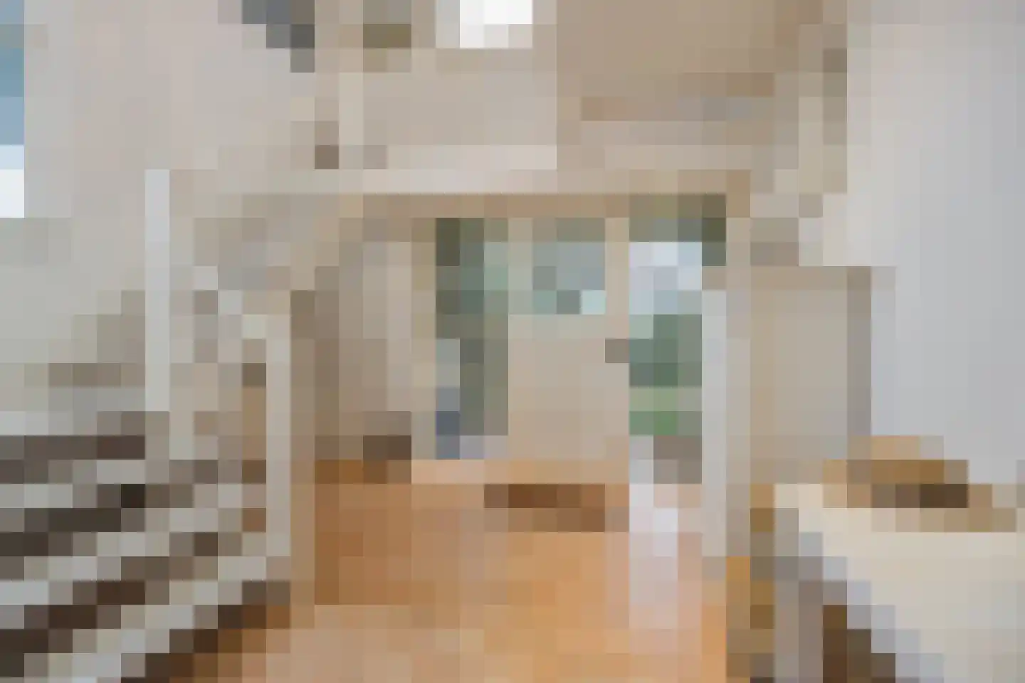 Wilhelminastraat 13 Bosschenhoofd thumbnail 8