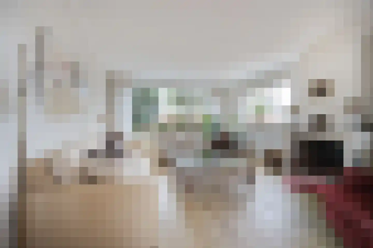 Wilhelminastraat 13 Bosschenhoofd thumbnail 9
