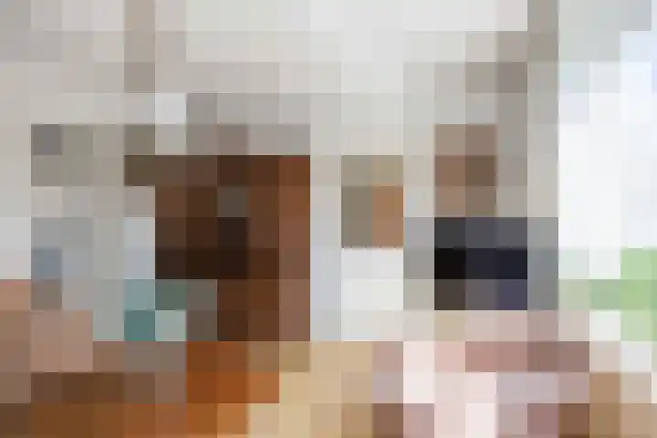 Wilhelminastraat 13 Leens thumbnail 15