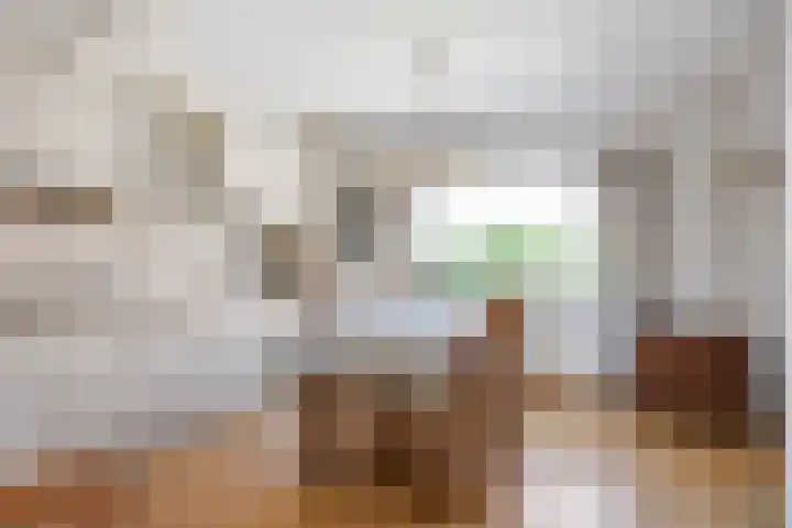 Wilhelminastraat 13 Leens thumbnail 17