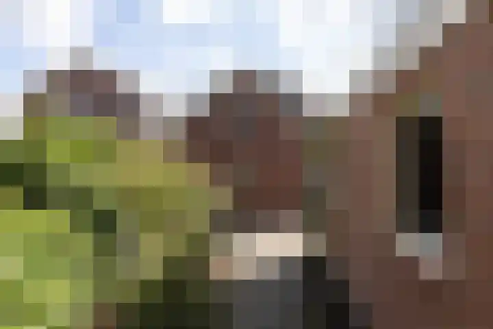 Wilhelminastraat 13 Neede thumbnail 25