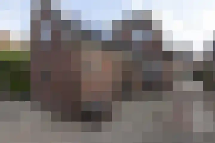 Wilhelminastraat 13 Neede thumbnail 26