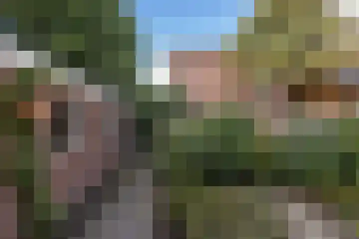 Wilhelminastraat 13 Neede thumbnail 31