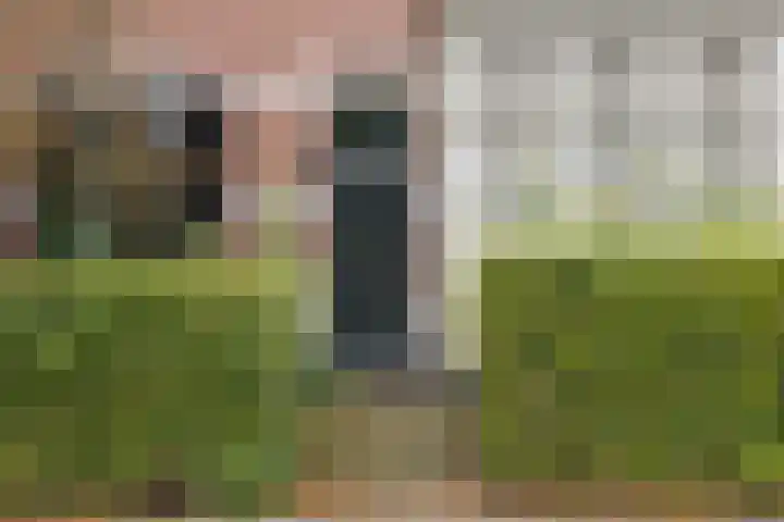 Wilhelminastraat 13 Oosterbeek thumbnail 4
