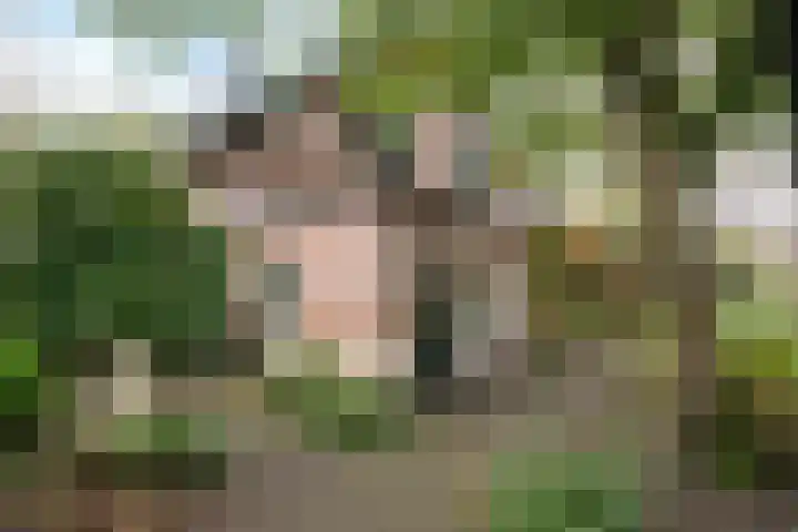 Wilhelminastraat 13 Oosterbeek thumbnail 60