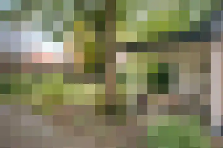 Wilhelminastraat 13 Oosterbeek thumbnail 61