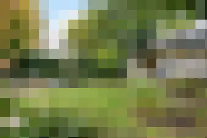Wilhelminastraat 13 Oosterbeek thumbnail 62