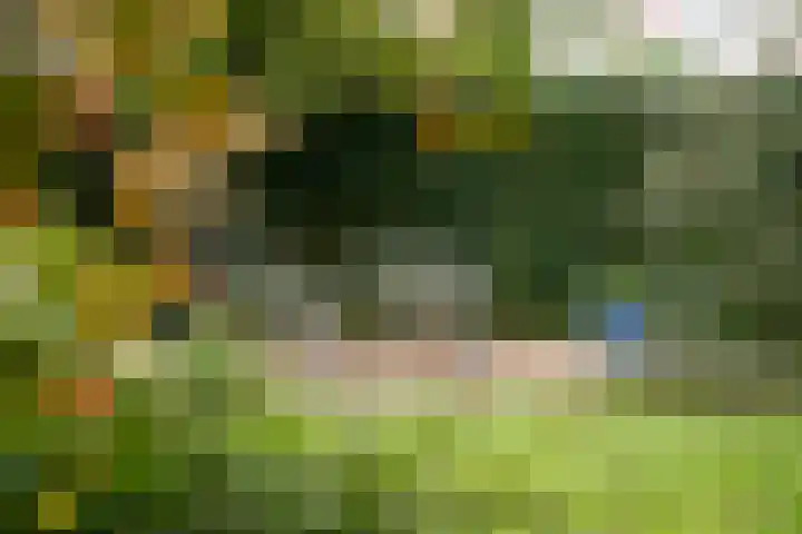 Wilhelminastraat 13 Oosterbeek thumbnail 65