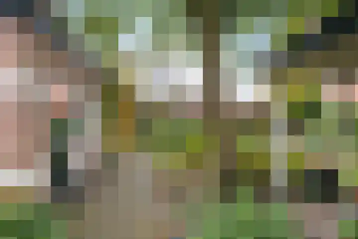 Wilhelminastraat 13 Oosterbeek thumbnail 66