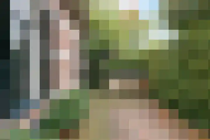 Wilhelminastraat 13 Oosterbeek thumbnail 67