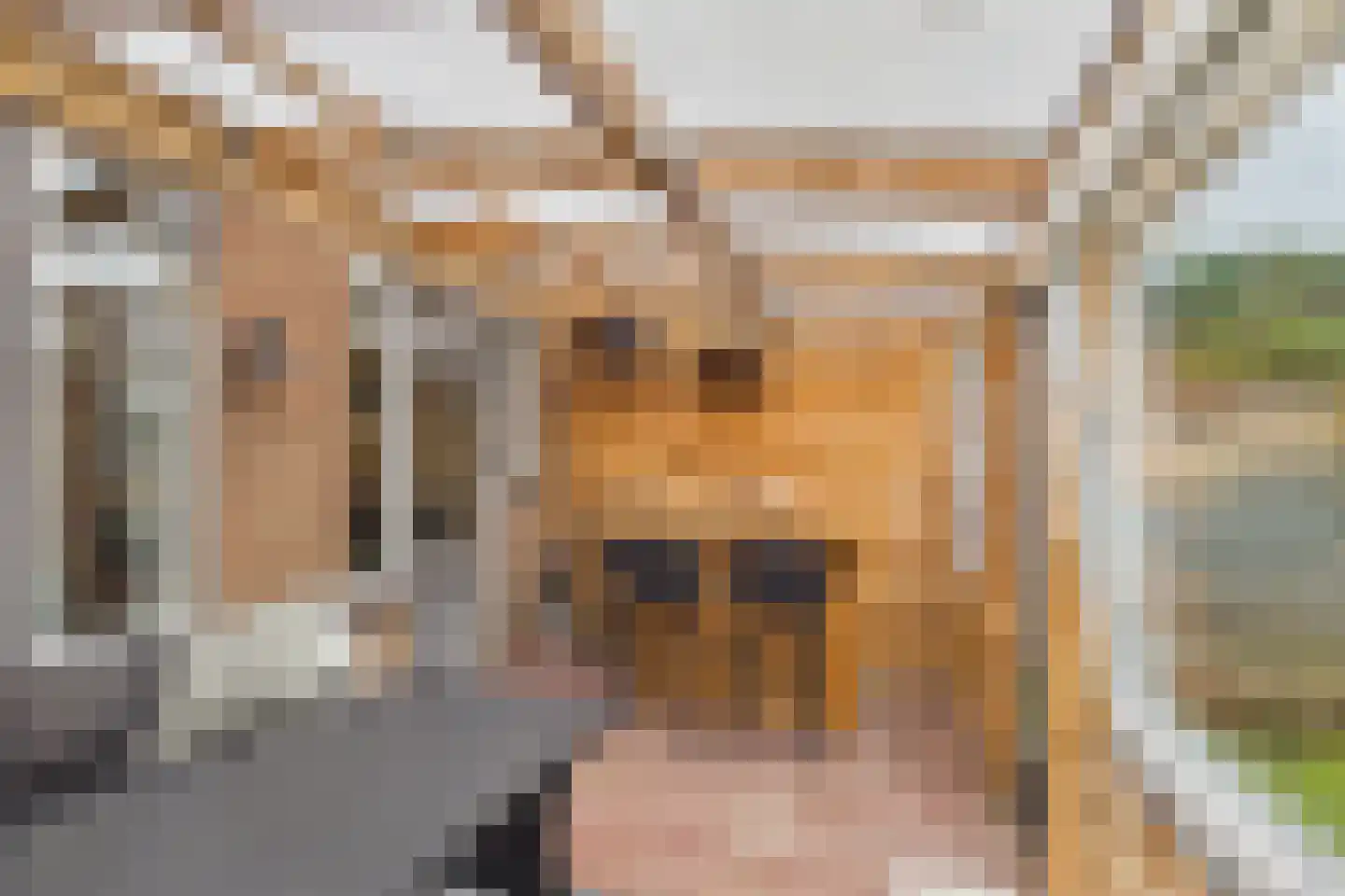 Wilhelminastraat 13 Vogelwaarde thumbnail 17