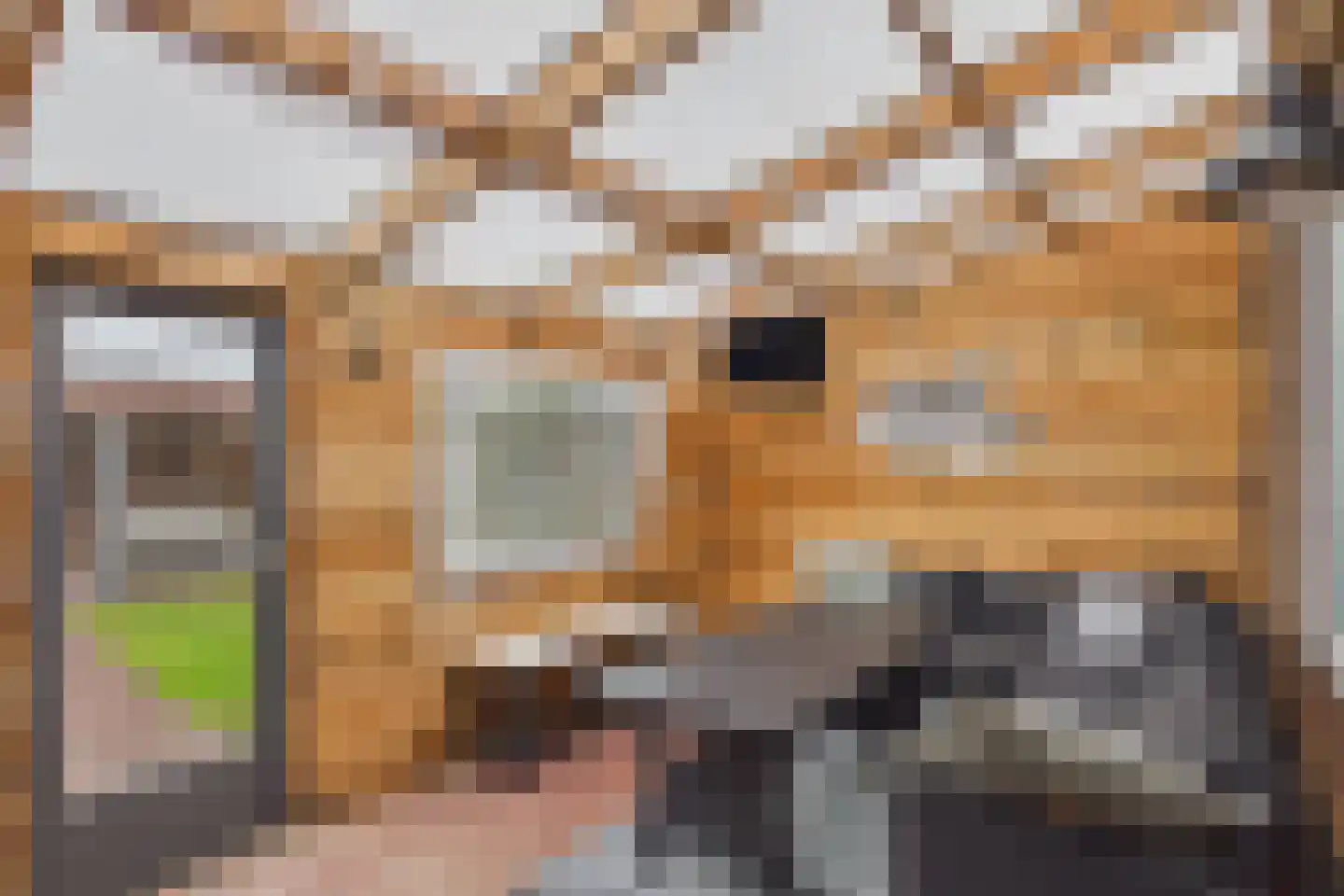 Wilhelminastraat 13 Vogelwaarde thumbnail 18