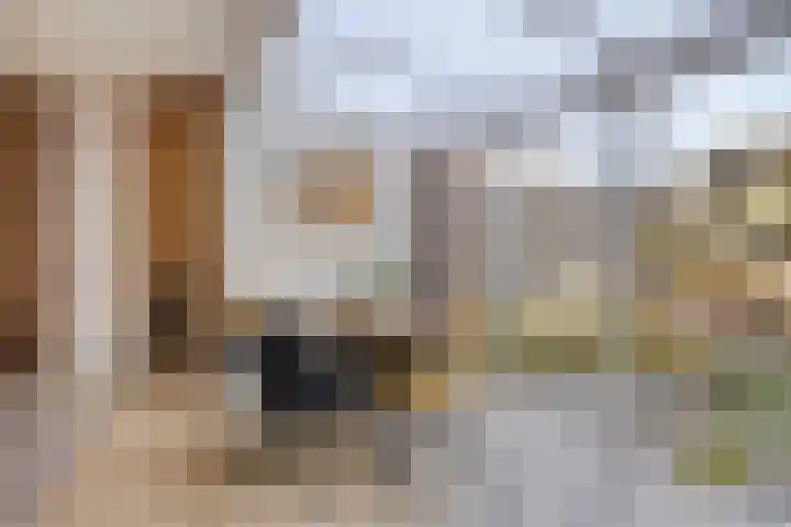 Wilhelminastraat 130 Uden thumbnail 16
