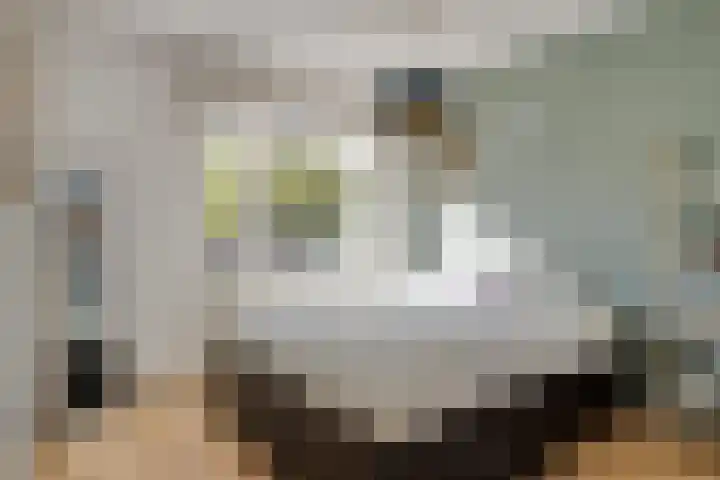 Wilhelminastraat 130 Uden thumbnail 24