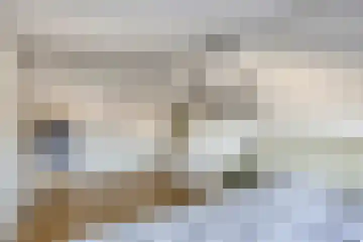 Wilhelminastraat 130 Uden thumbnail 33