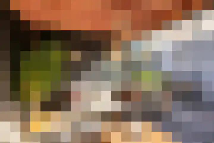 Wilhelminastraat 130 Uden thumbnail 36