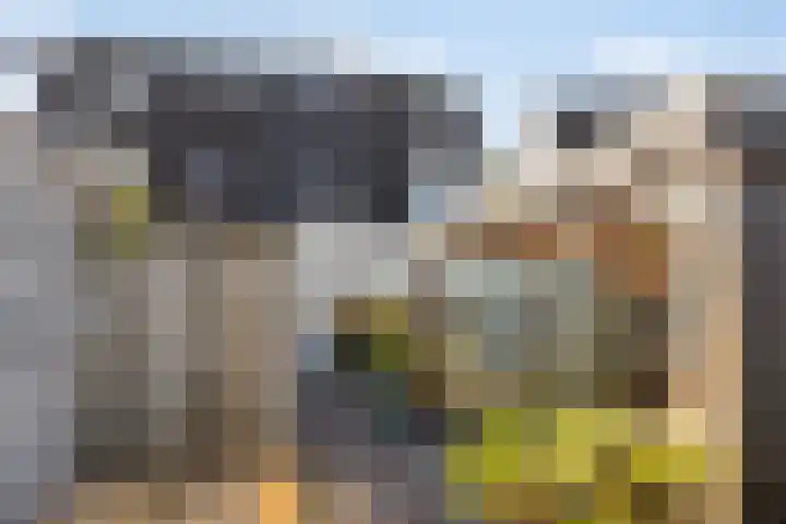 Wilhelminastraat 130 Uden thumbnail 37