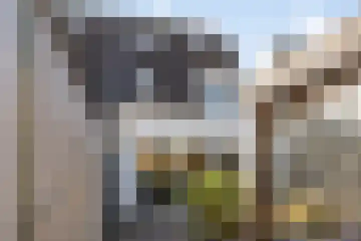 Wilhelminastraat 130 Uden thumbnail 38