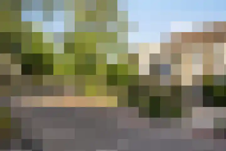 Wilhelminastraat 130 Uden thumbnail 42