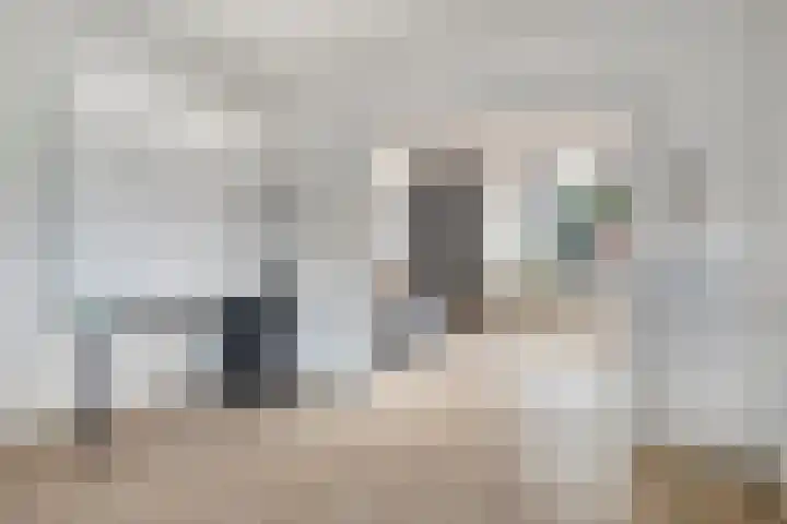 Wilhelminastraat 14 Dinteloord thumbnail 13