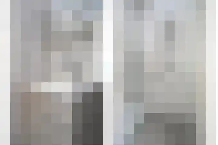 Wilhelminastraat 14 Dinteloord thumbnail 16