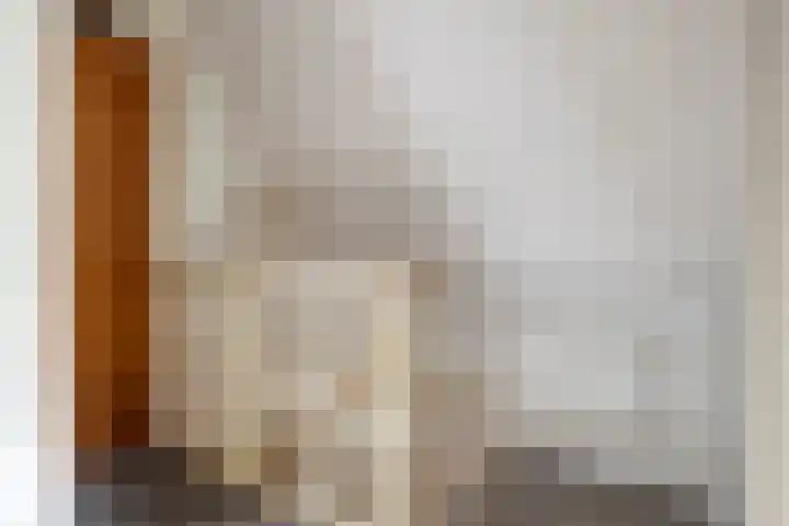 Wilhelminastraat 14 Dinteloord thumbnail 19