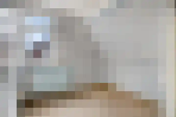 Wilhelminastraat 14 Dinteloord thumbnail 23