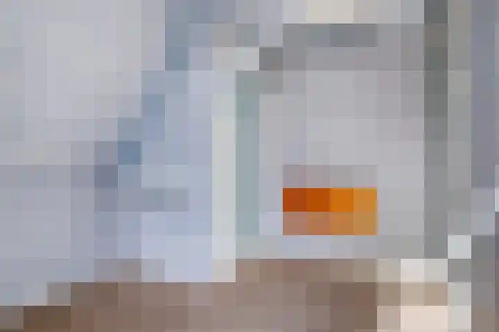 Wilhelminastraat 14 Dinteloord thumbnail 24