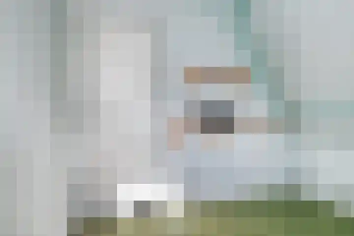 Wilhelminastraat 14 Dinteloord thumbnail 26