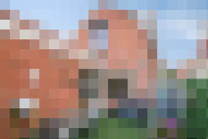 Wilhelminastraat 14 Dinteloord thumbnail 28