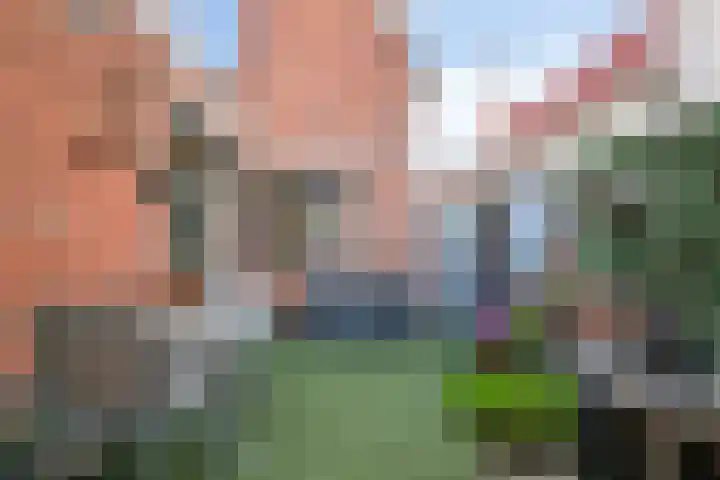 Wilhelminastraat 14 Dinteloord thumbnail 29