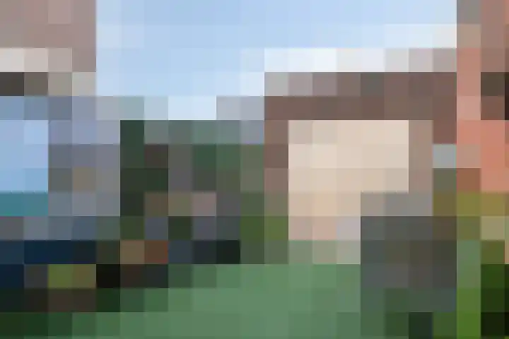 Wilhelminastraat 14 Dinteloord thumbnail 30