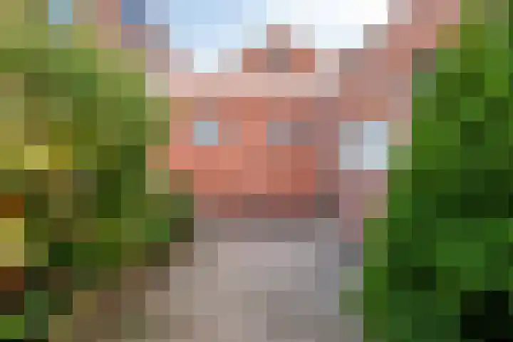 Wilhelminastraat 14 Dinteloord thumbnail 33