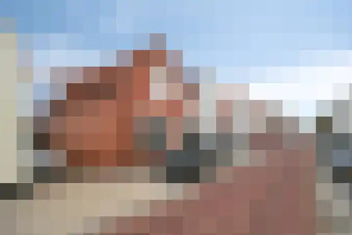 Wilhelminastraat 14 Dinteloord thumbnail 36